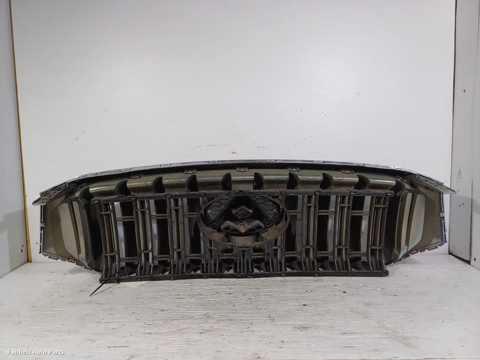 2017-2021 Ldv T60 Grille