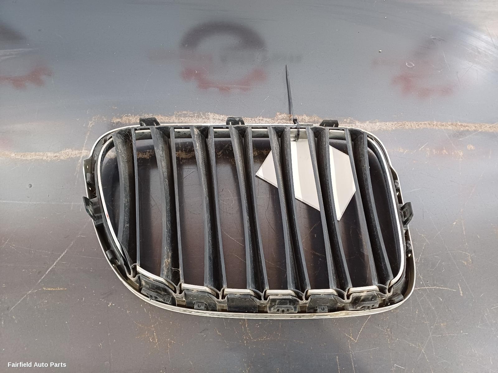 2010-2015 Bmw X1 Grille