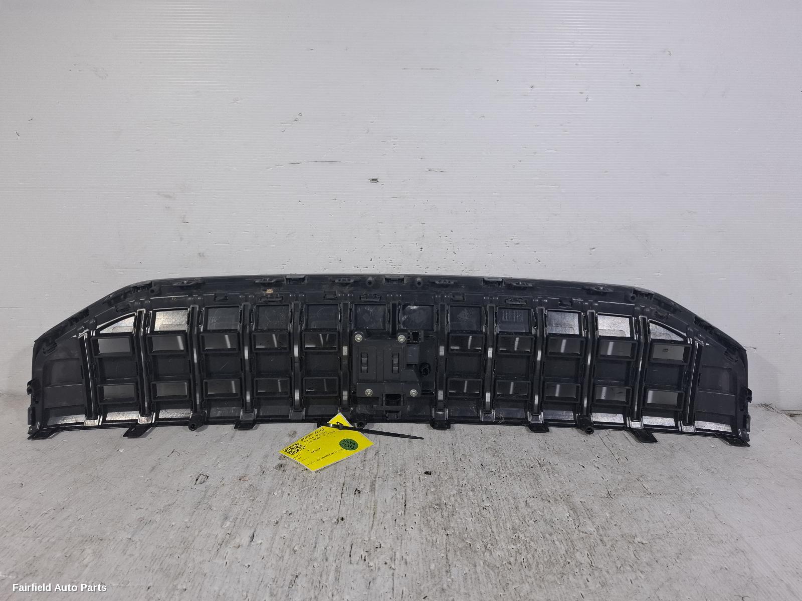 2021-2023 Polestar 2 Grille