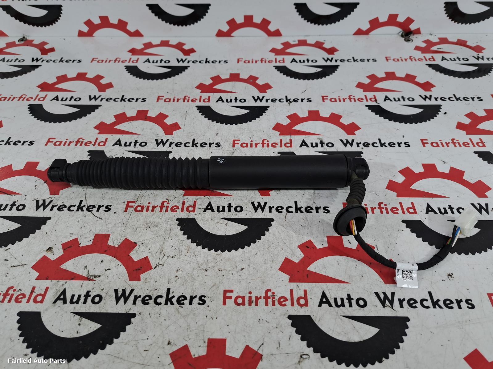 2019-2025 Tesla Model 3 Hatch Strut