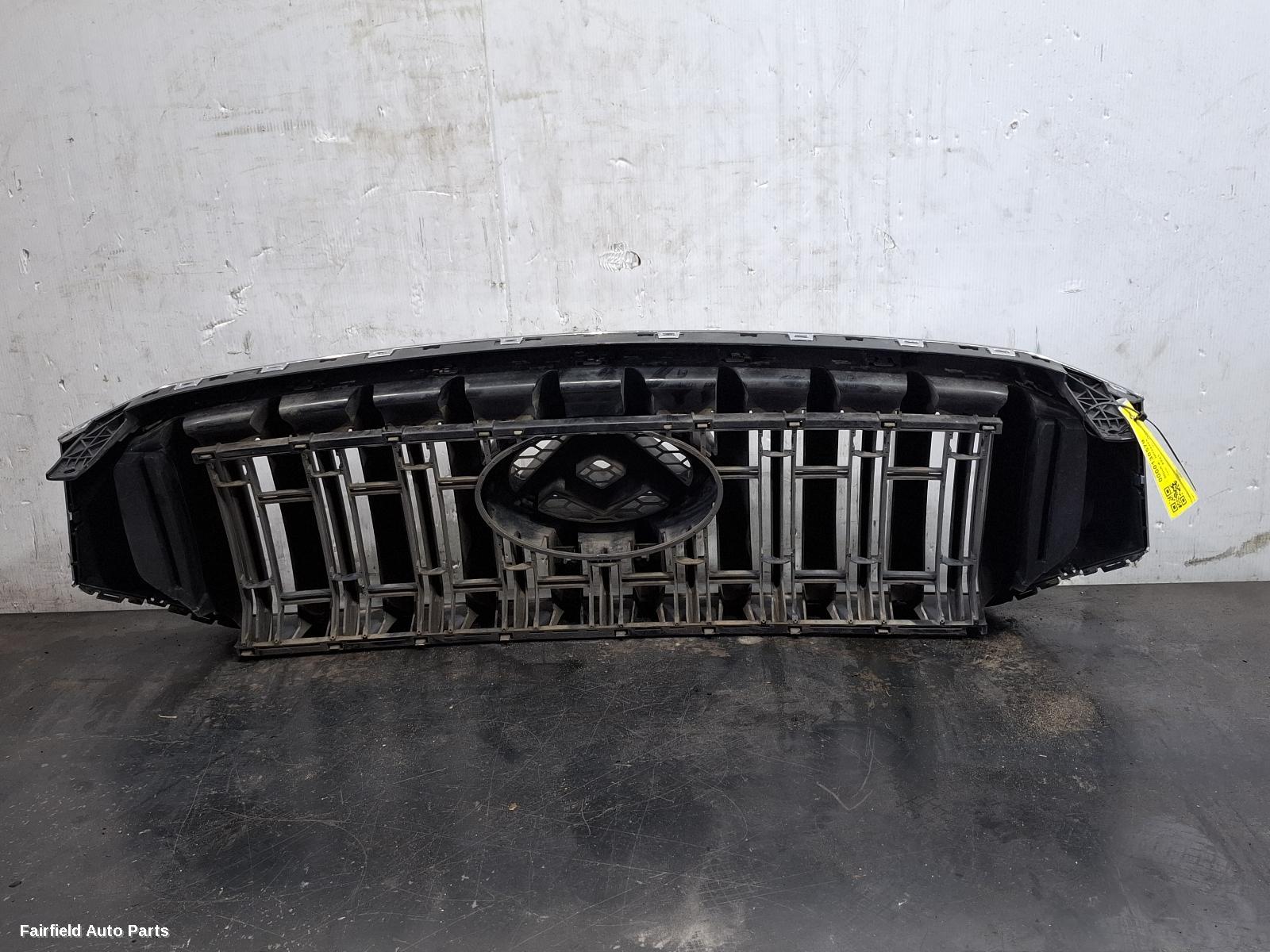 2017-2021 Ldv T60 Grille