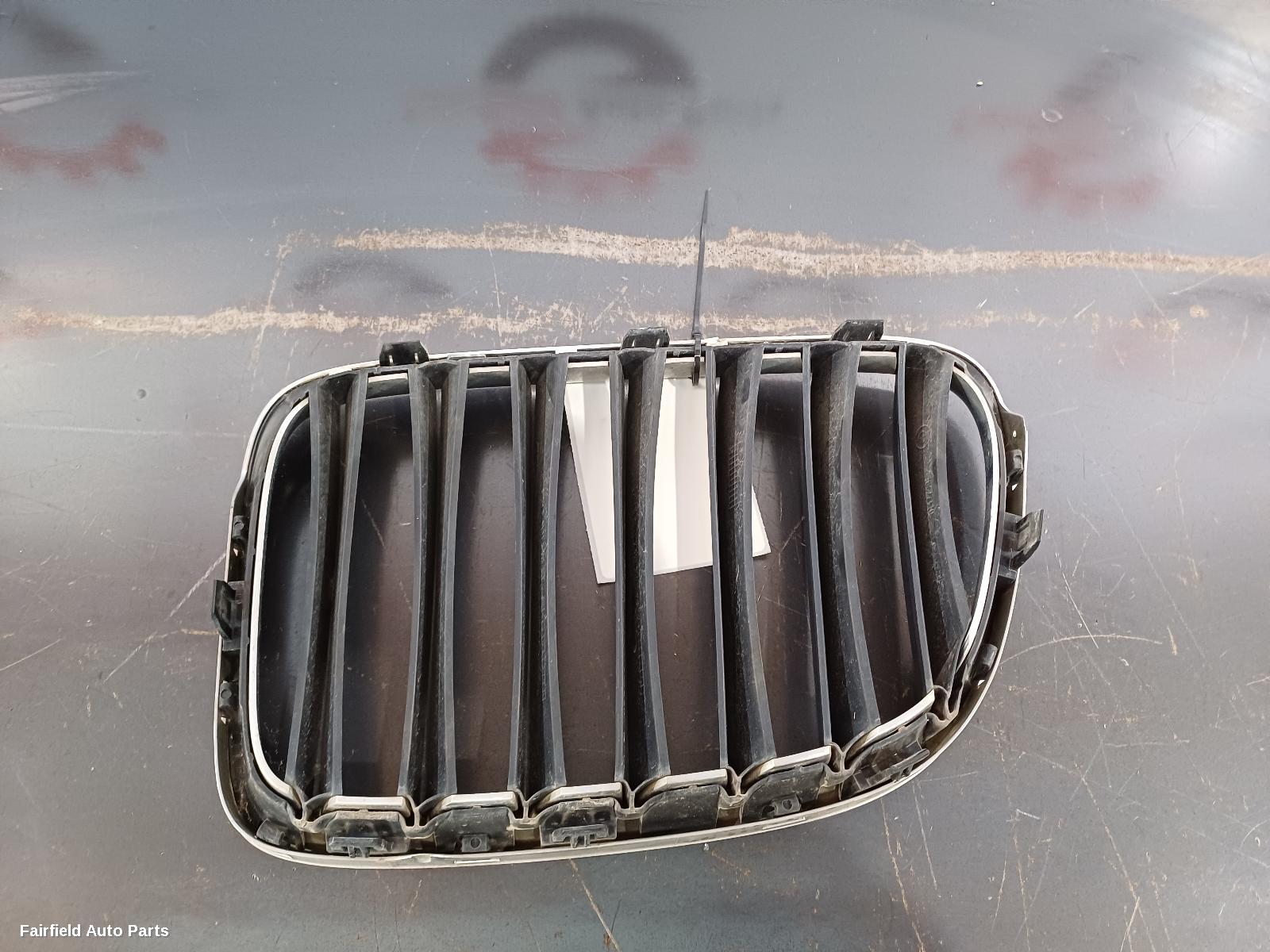 2010-2015 Bmw X1 Grille