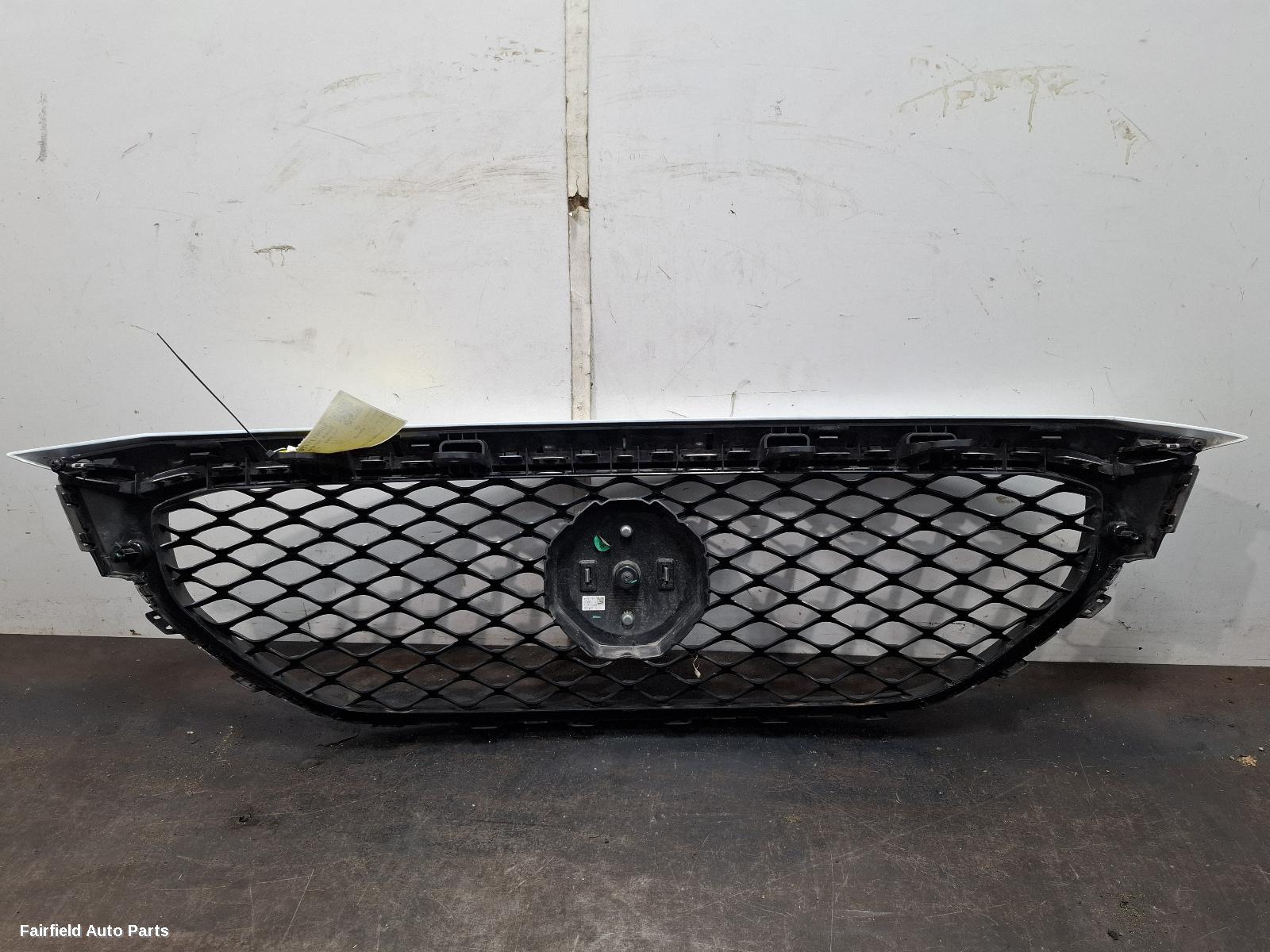 2020-2024 Mg Zs Grille