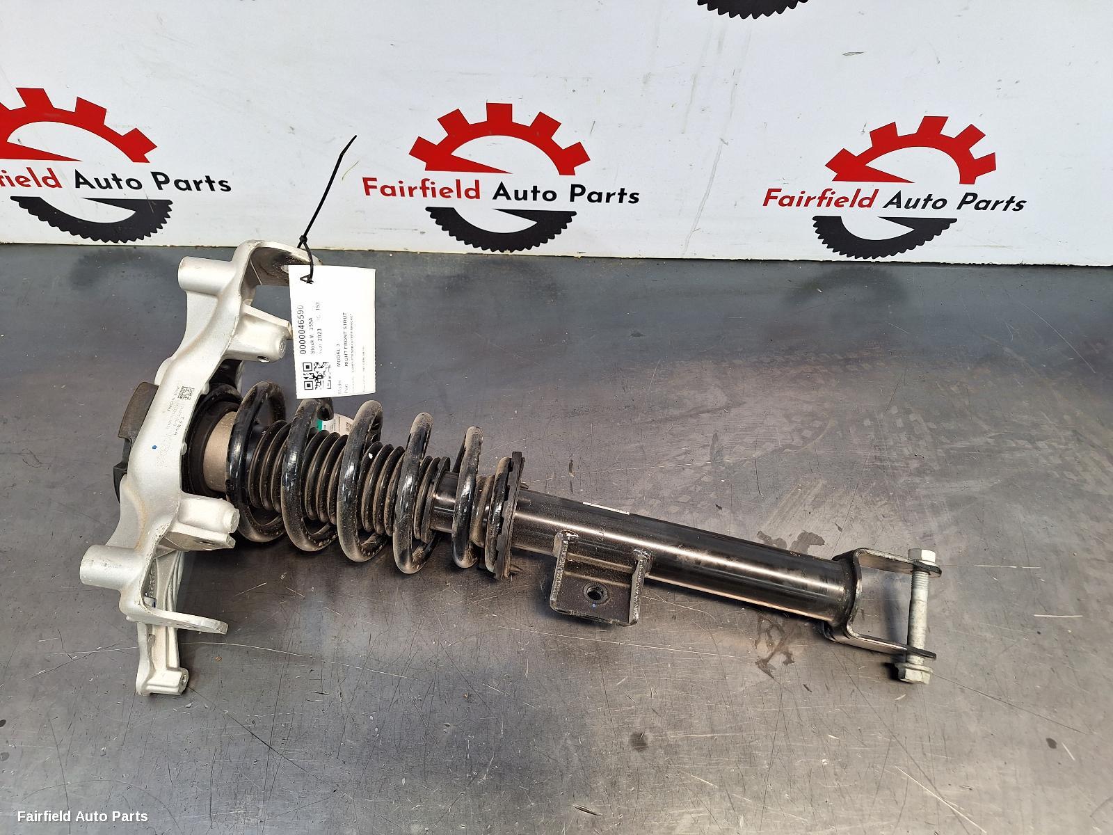 2019-2024 Tesla Model 3 Right Front Strut