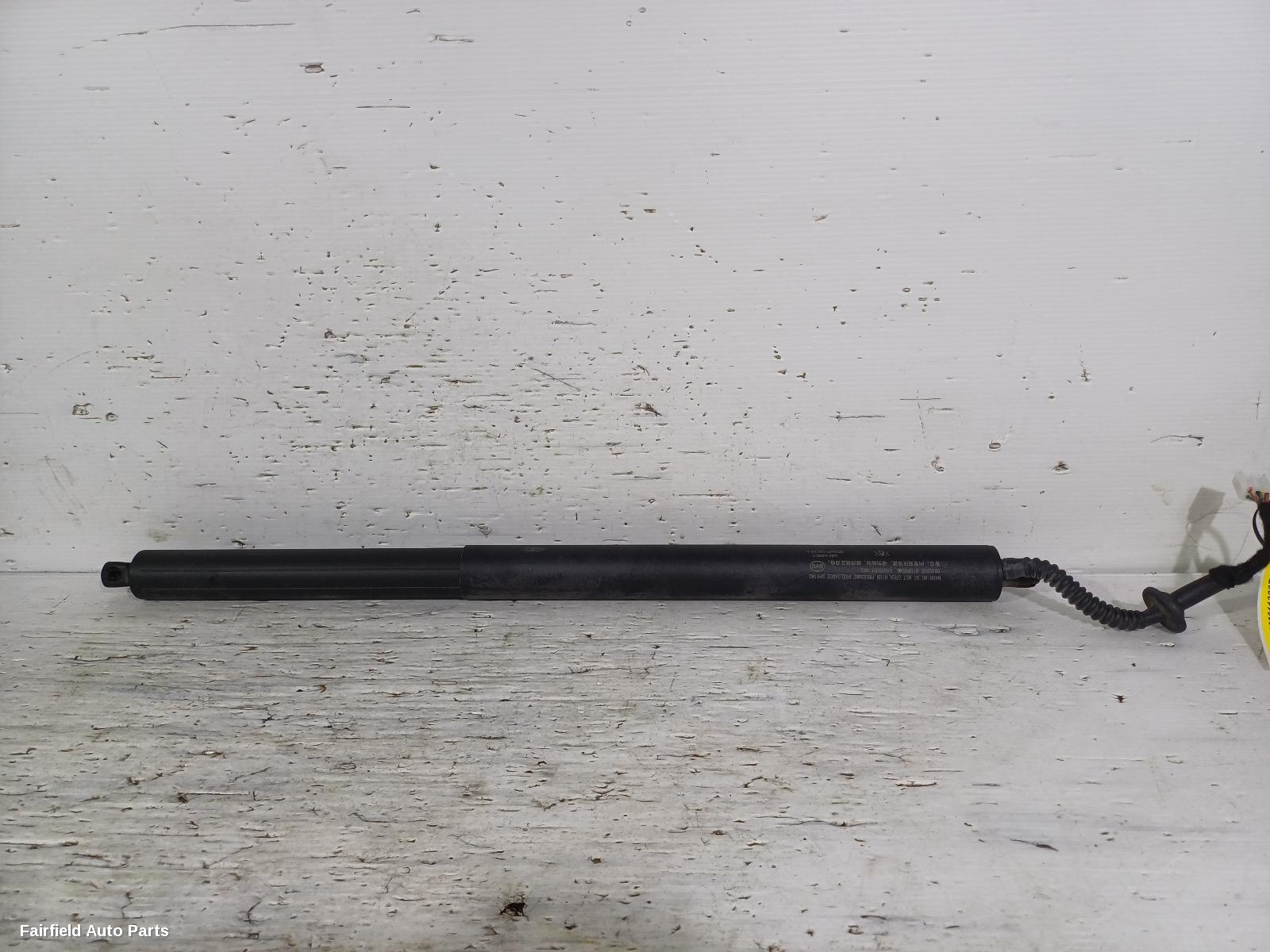 2022-2025 Byd Atto 3 Hatch Strut