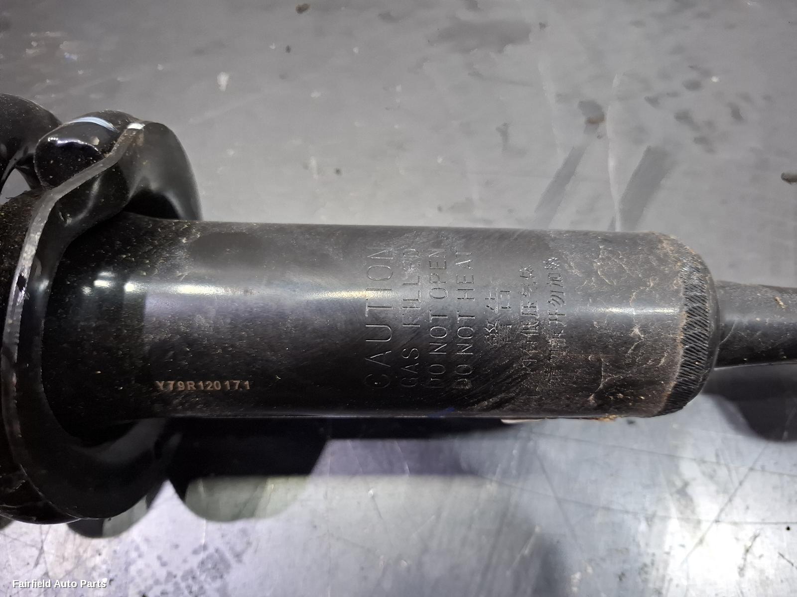 2022-2026 Great Wall Tank 300 Right Front Strut