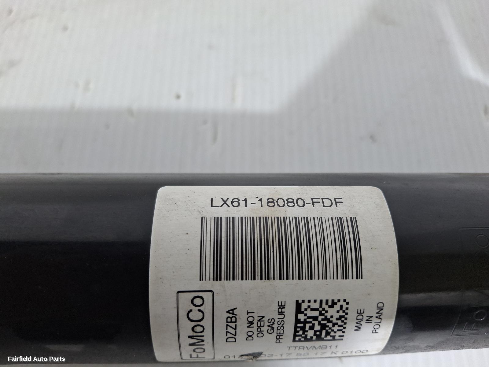 2020-2026 Ford Escape Left Rear Strut