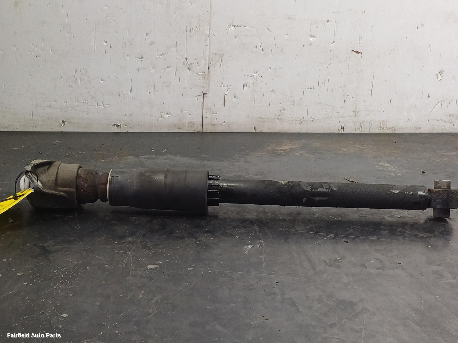 2015-2025 Audi A4 Right Rear Strut