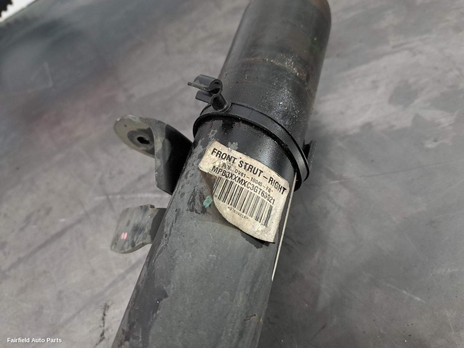 2015-2018 Ford Focus Right Front Strut