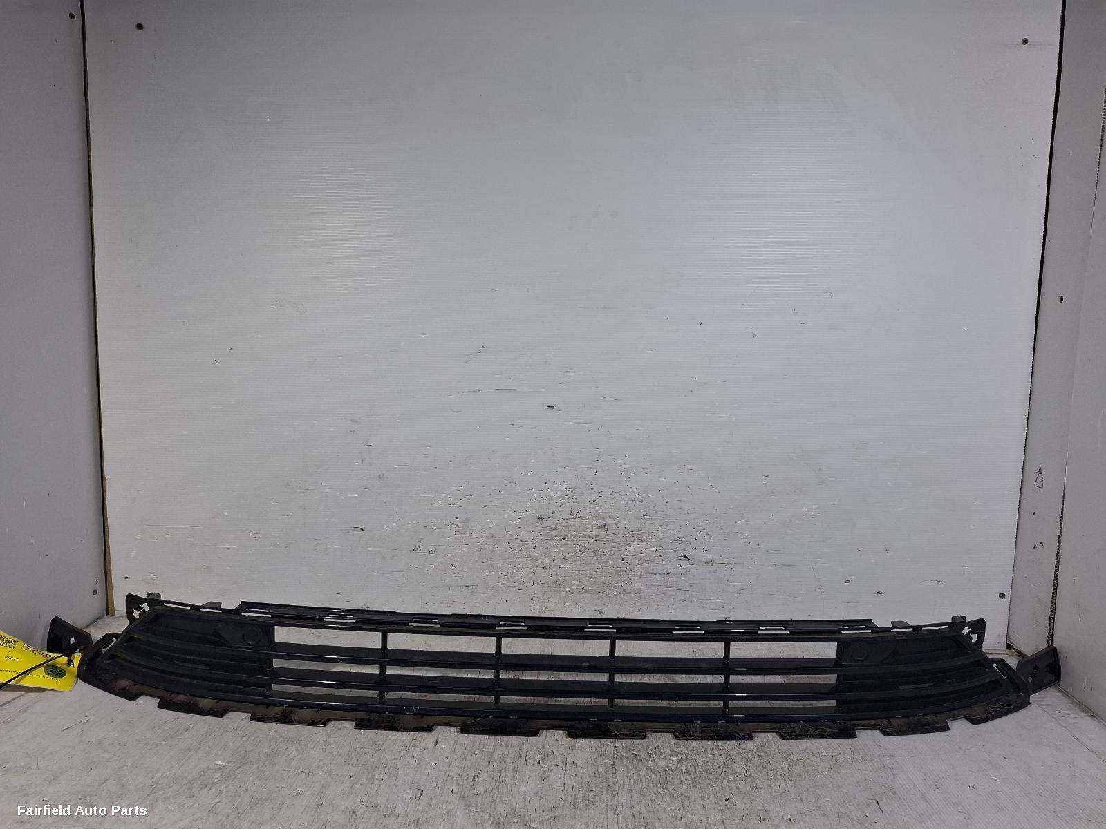 2021-2023 Polestar 2 Grille
