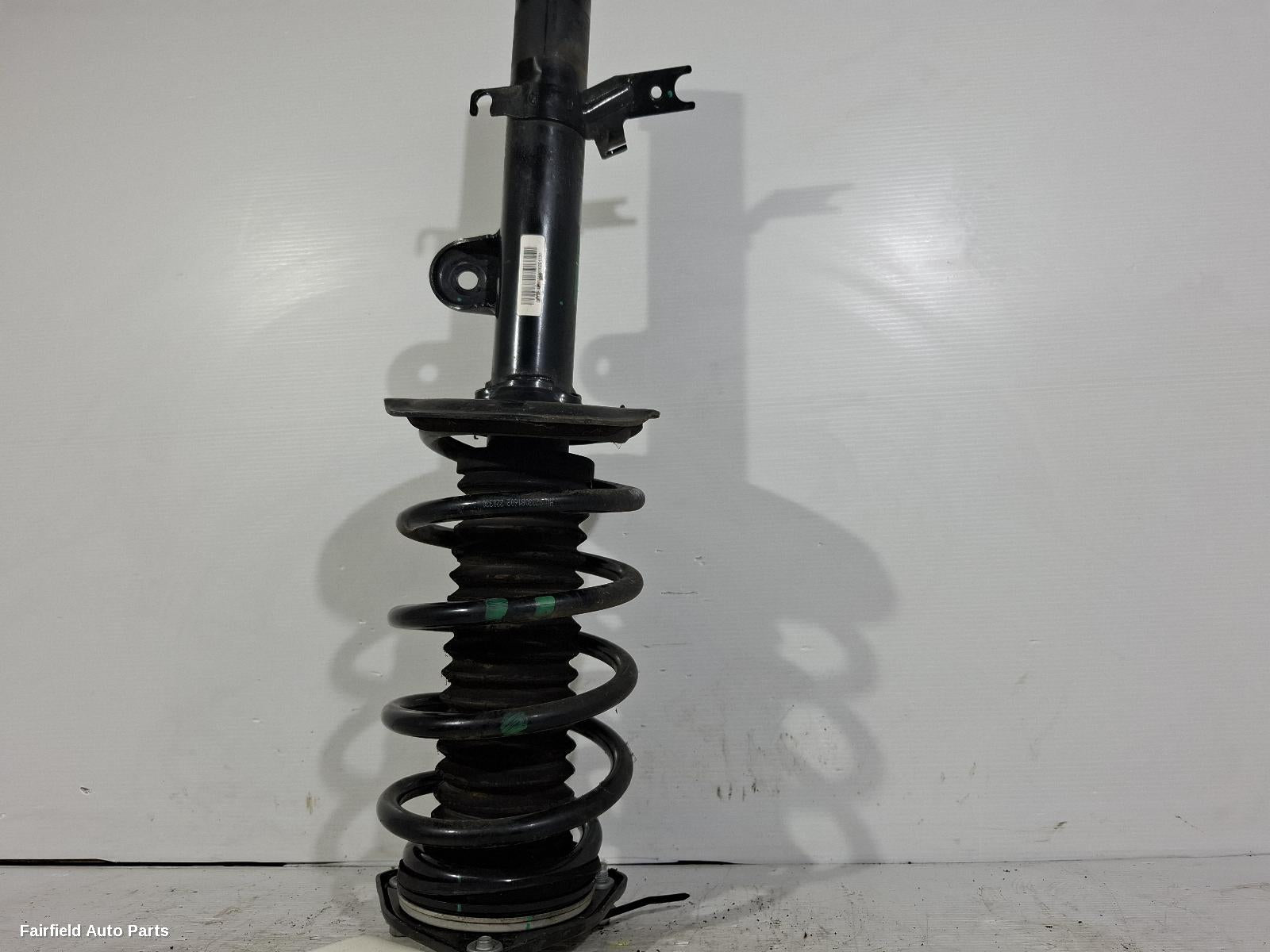 2021-2024 Haval Jolion Left Front Strut