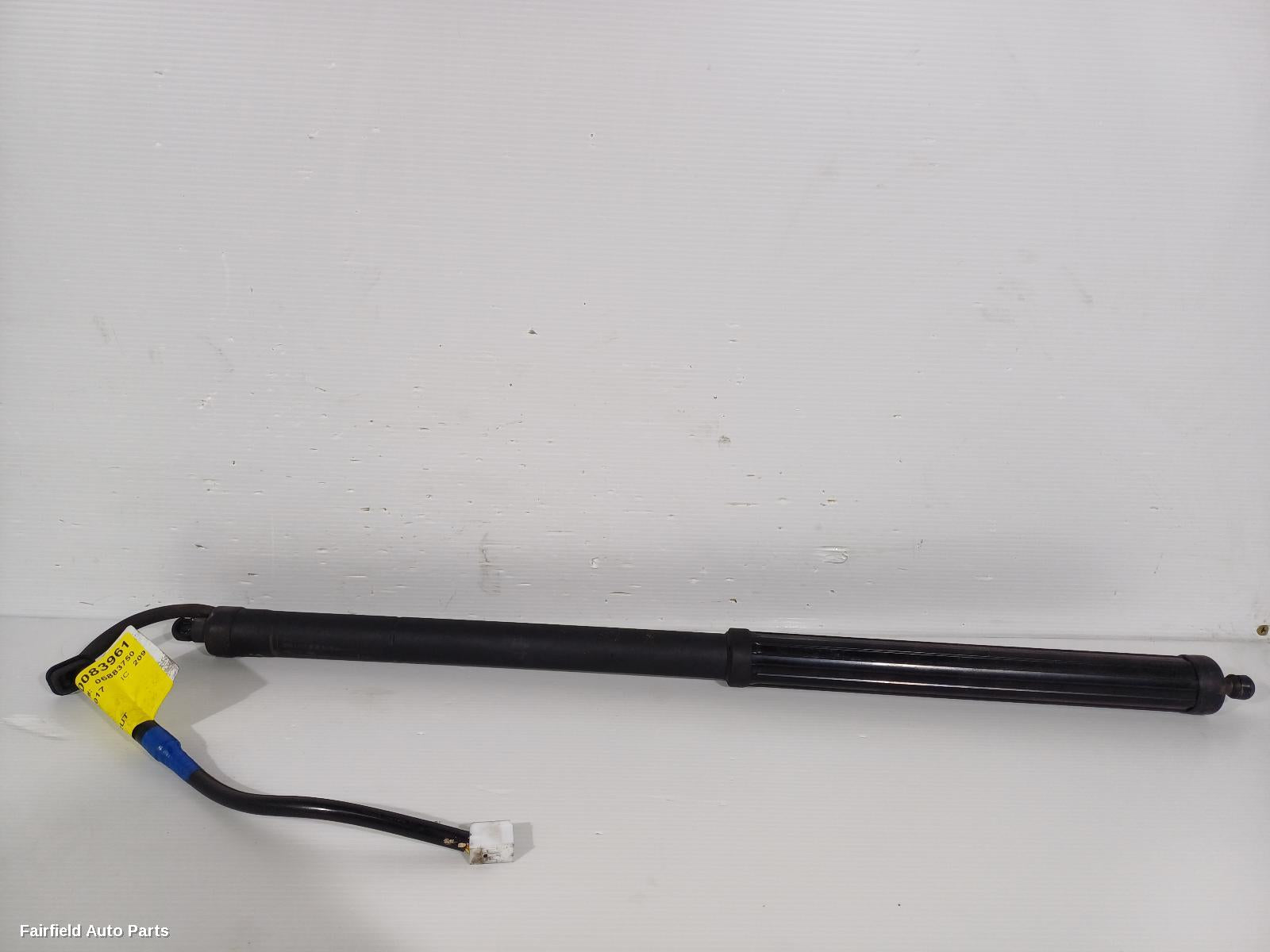 2015-2022 Lexus Rx Series Hatch Strut
