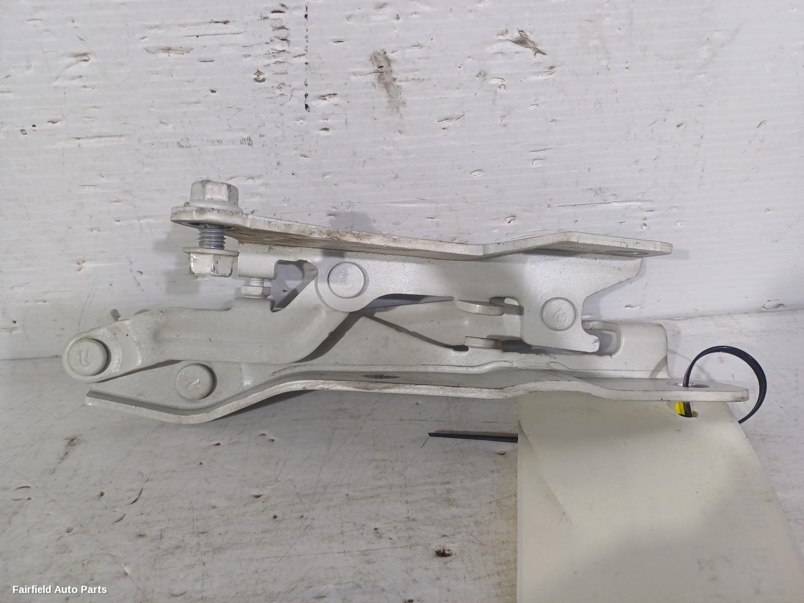 2012-2018 Hyundai Veloster Bonnet Hinge Strut