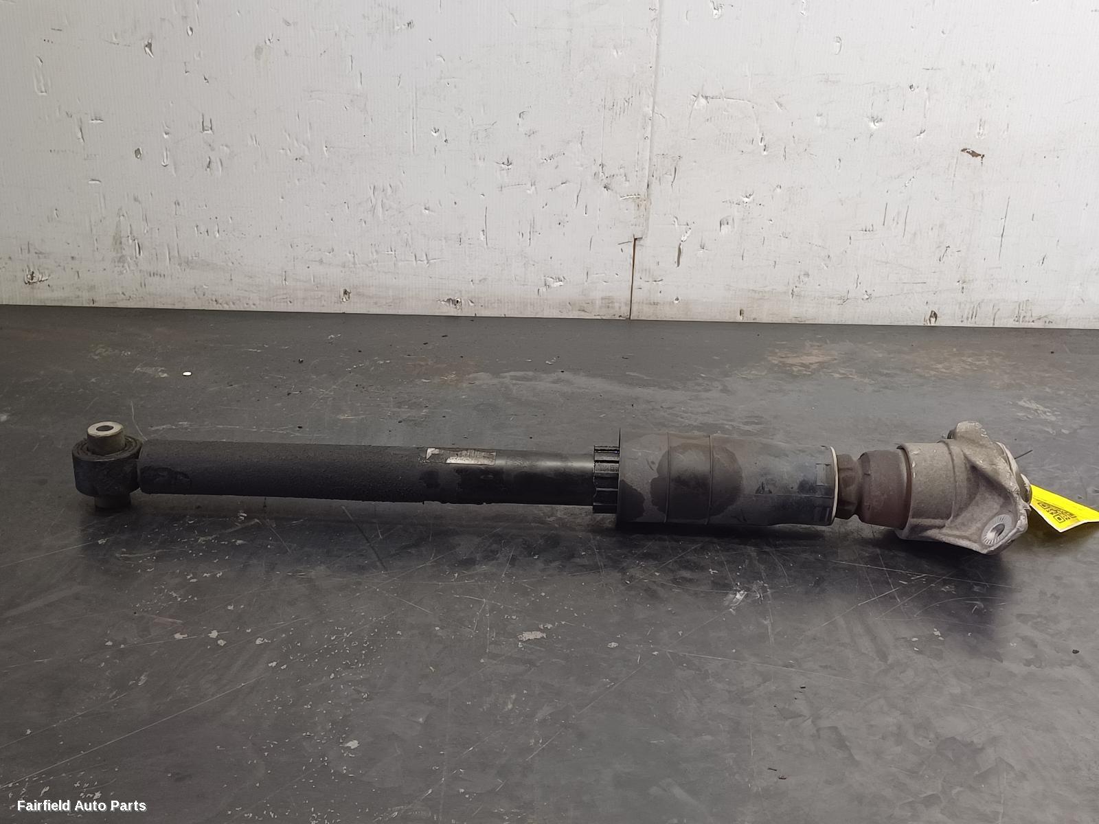 2015-2025 Audi A4 Right Rear Strut