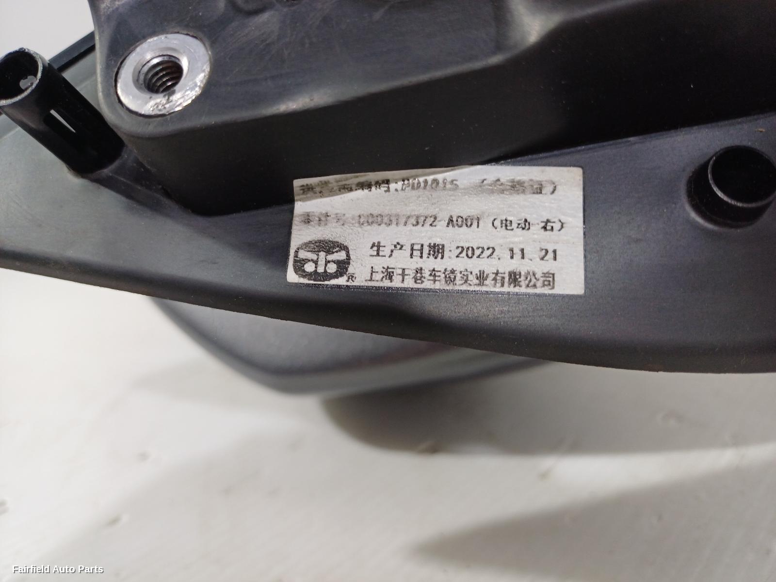 2021-2025 Ldv T60 Right Door Mirror