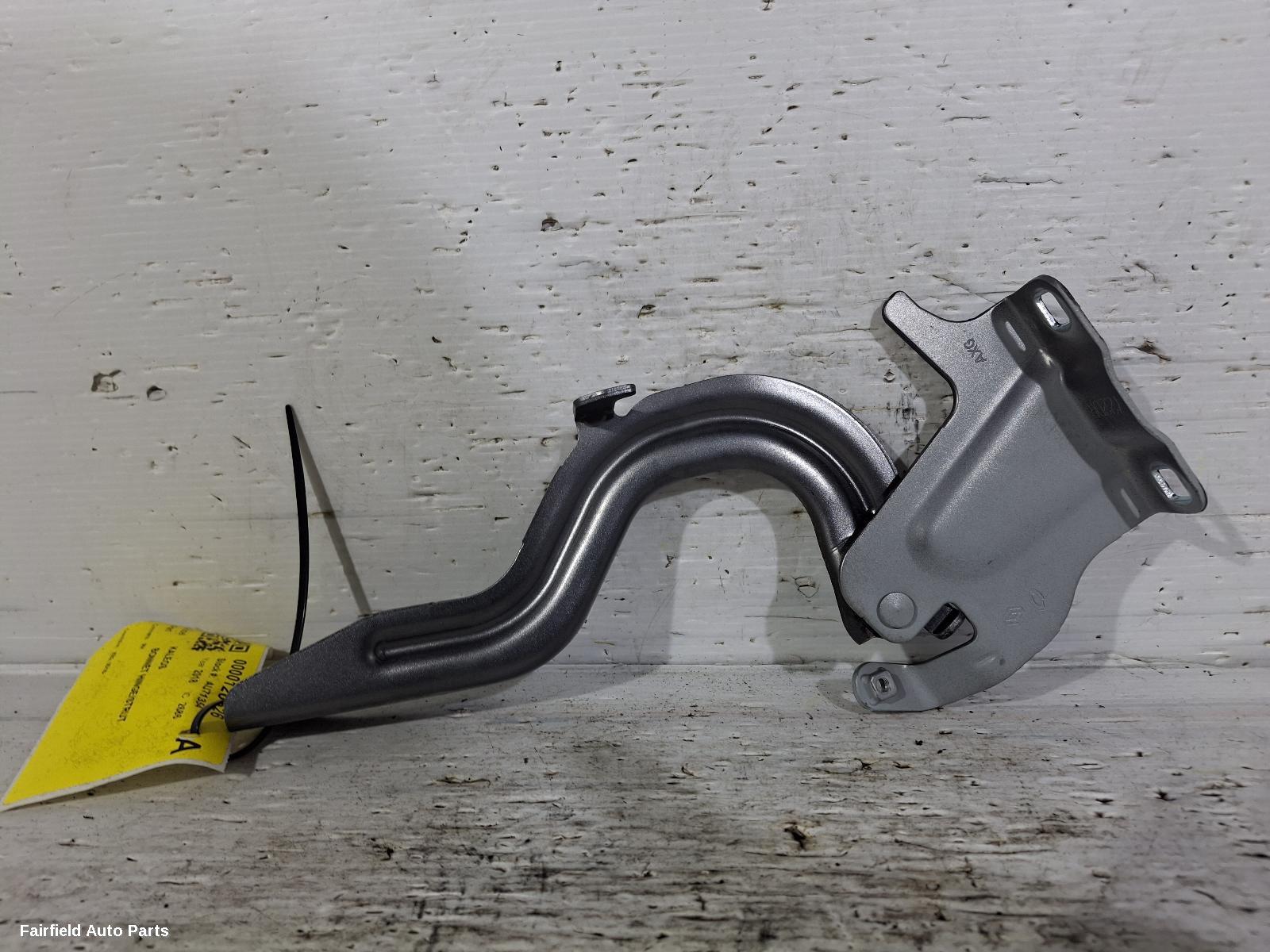 2016-2026 Renault Kaleos Bonnet Hinge Strut