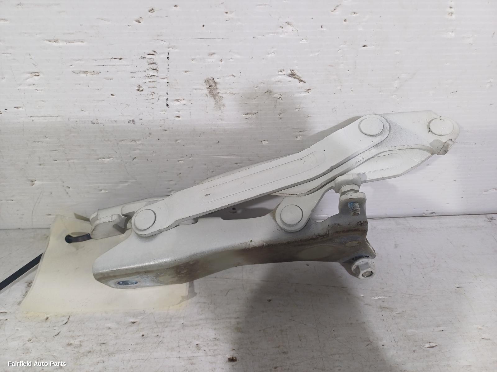 2012-2018 Hyundai Veloster Bonnet Hinge Strut